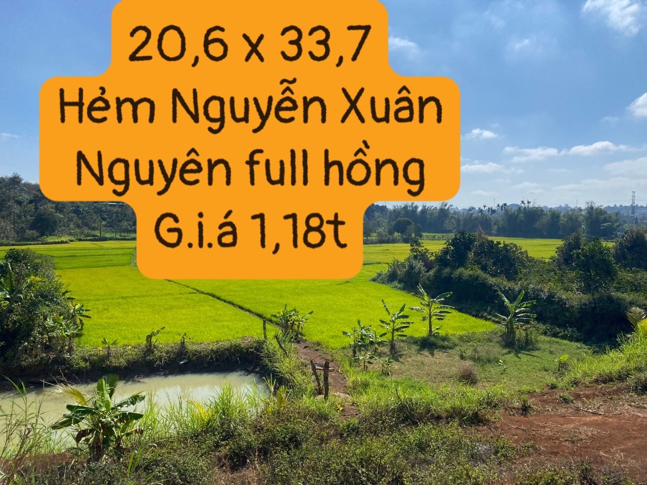 Bán đất nền khu EaNao Nguyễn Xuân Nguyên quy hoạch ONT 20x35 giá 1,2 tỉ đồng