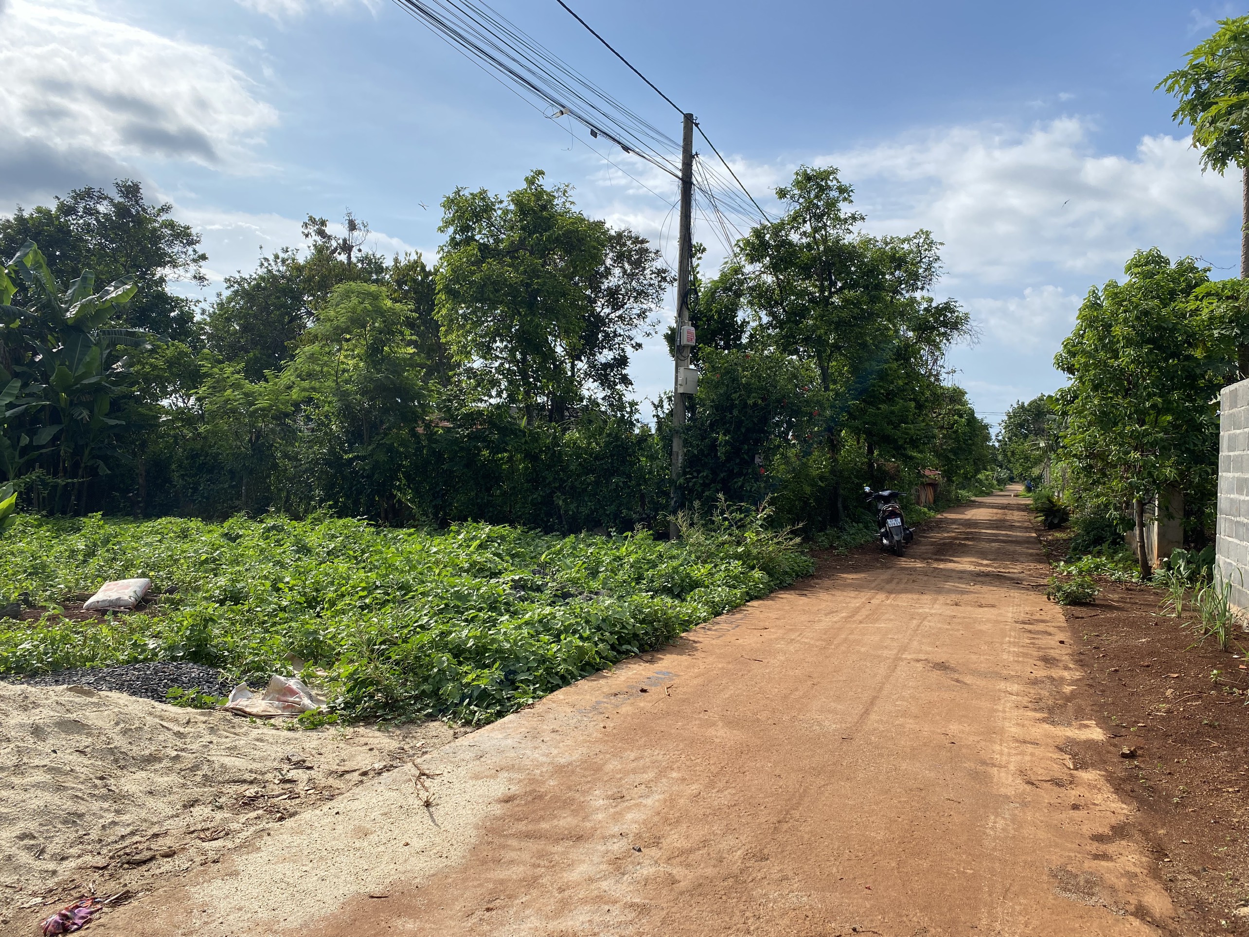 Đất thổ cư Phạm Ngũ Lão, Buôn Ma Thuột, Đaklak