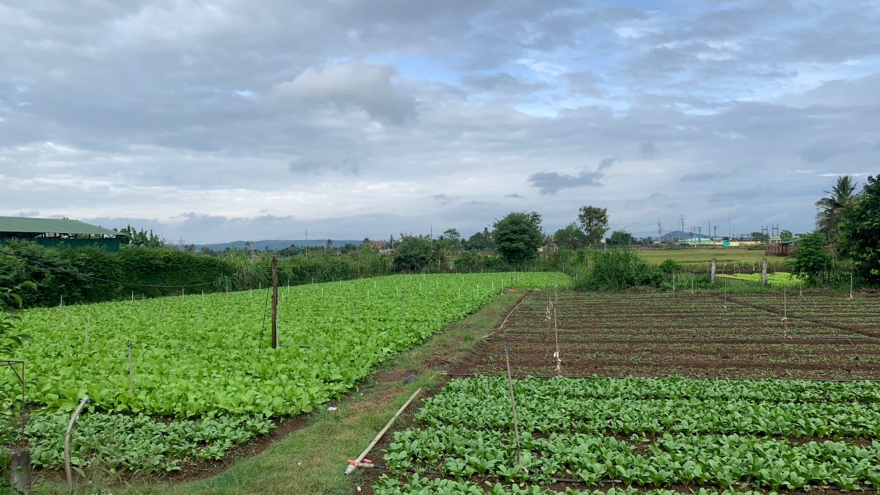 Đất thổ cư Khánh Xuân, Buôn Ma Thuột